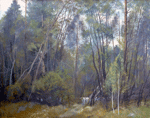 Лес в Пушкинских горах. Бумага, акварель, темпера 57 х 84 см. 1988