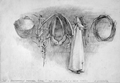 Крестьянский инвентарь. Бугрово. Бумага,  графитный карандаш 29,5 х 42 см. 1987