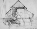 Лошадка в Пушкинских горах. Бумага,  графитный карандаш 32 х 40 см. 1987